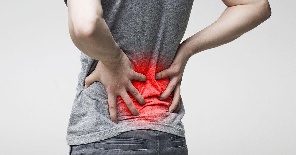 Understanding Back Pain